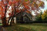 House & Coloured Tree, Barnstaple, U.S.A.