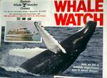 At Home: 'Whale Watch', , U.S.A.