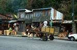 Street, Horse & Cart, Puerto Montt, Chile
