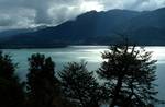 Lake, Mountains, Tree, Lago Yelcho, Chile