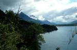 Lake, Mountains, Tree, Lago Yelcho, Chile
