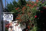 Caf??, Street, Poinsettias, Patmos, Greece