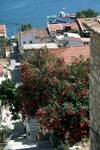 Looking Down Steep Street, Samos - Pythagorio, Greece
