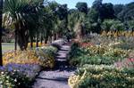 Palms, Path, Herbs, Logan Garden, Scotland