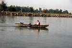 Fisherman in Boat, Danube Delta, Romania