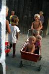 Milo 23 - Blonde Children & Pram, Danube Delta, Romania