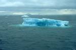 Blue Iceberg, Antarctica