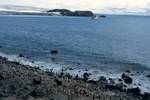 Looking Down on Bay & Prof.Khromov, Penguin Island, Antarctica