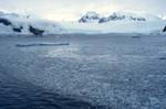 Brash Ice, Neumayer Channel, Antarctica