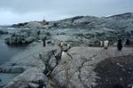 Penguins & Memorial to 2 Men, Port Circumcision, Antarctica