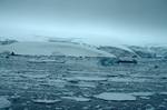 Brash Ice & Glacier's Edge, Paradise Bay, Antarctica