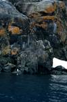 Cliffs & Lichen, Paradise Bay - Zodiac Cruise, Antarctica
