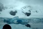 Glacier & Blue Bergs, Paradise Bay - Zodiac Cruise, Antarctica