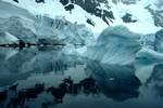 Glacier Edge, Paradise Bay - Zodiac Cruise, Antarctica