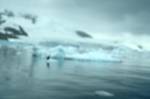 Paradise Bay - Zodiac Cruise, Antarctica