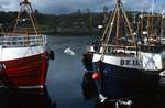 Stornoway - Fishing Boats, Lewis, Scotland - Outer Hebrides