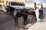 Horse Carriage, Valetta, Malta