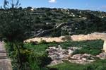 View Across Fields, Ghar Dalam Cave, Malta