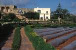 Plastic Farming, Village Houses, Malta