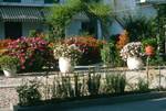 Garden & Flower Pots, Porto Seli, Greece
