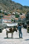Donkey, Main Street, Hydra, Greece