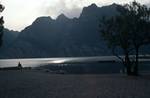 Evening - Lake & Tree, Tolbole sul Garda, Italy