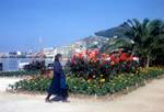 Palms, Sea Front, Bright Flowers, Peasant, Split,Yugoslavia - Croatia