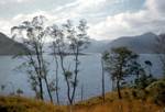 Loch Quoich, Loch Hourn, Knoydart, Lochaber, Scotland