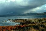 Cove / Melanudrigill, Torridon, Wester Ross, Scotland