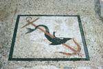 Mosaic - Dolphin & Trident, Delos, Greece