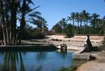 Pool & Sluices, Gabes Oasis, Tunisia