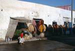 Street Scene, Wool Drying, Kairouan to Hammamet, Tunisia