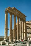 Palace Columns, Palmyra, Syria