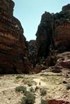 Into the Defile, Petra, Jordan