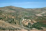 Barren Hills, Cultivation, Border of Samaria & Judea, 