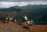 Camels, Mountains of Fire, Lanzarotte, Spain - Canary Islands