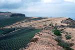 North Part - Desert & Sown!, Lanzarote, Spain - Canary Islands