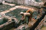 Working in Tanneries, Fez, Morocco