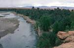 River, Palms & Hills, Meski, Morocco