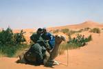 Mohammed, Harry & Camel, Near Taouz, Morocco