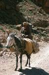 Donkey & Rider, Todra Gorge, Morocco