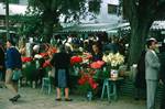 Market - Flower Stall, Zadar, Croatia (Yugoslavia)