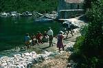 Village, Quayside, Group, Island of Mljet, Croatia (Yugoslavia)