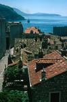 From Wall, Red Roofs, Ship Coming In, Dubrovnik, Croatia (Yugoslavia)