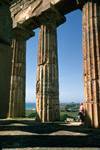 Columns of Tempio G, Looking to Acropolis, Selinunte, Italy - Sicily