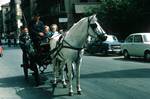 Christine, Douglas & Mrs H in Horse Cab, Palermo, Italy - Sicily