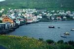 Boats & Buttercups, Houses in Sun, Vestmanna, Faroes