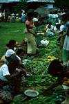 Line of Vegetables, On Road Northwards, Ceylon