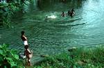 Group Bathing, On Road Northwards, Ceylon