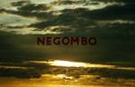 Title Slide - Negombo, Ceylon